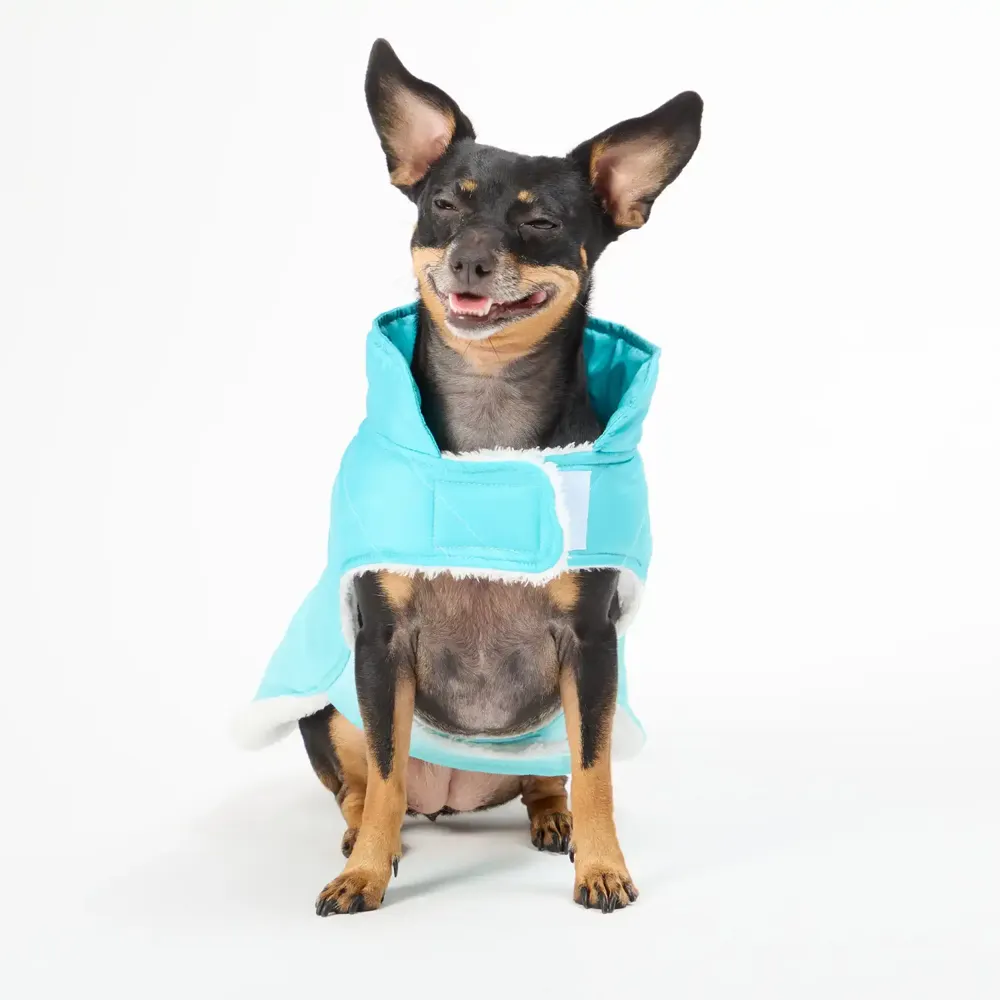 Jaqueta Gradiente para Cães Flicks Verde — foto 5