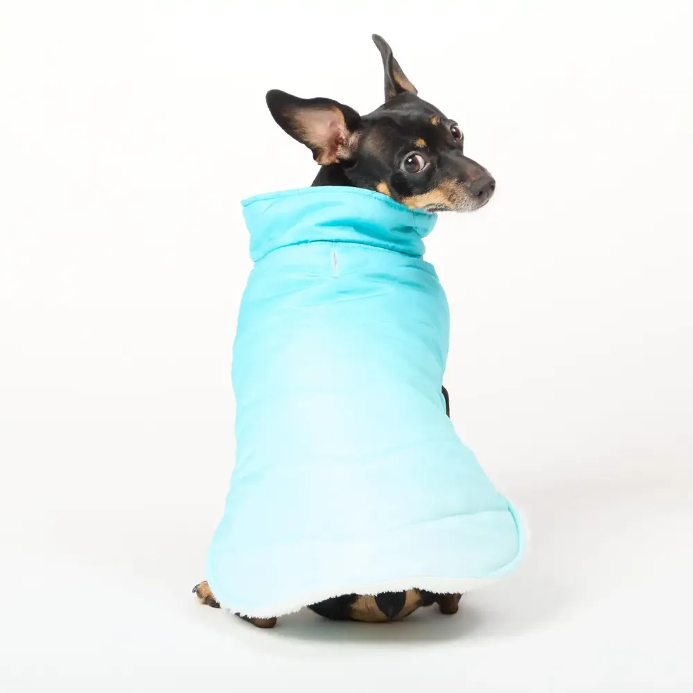 Jaqueta Gradiente para Cães Flicks Verde — foto 6