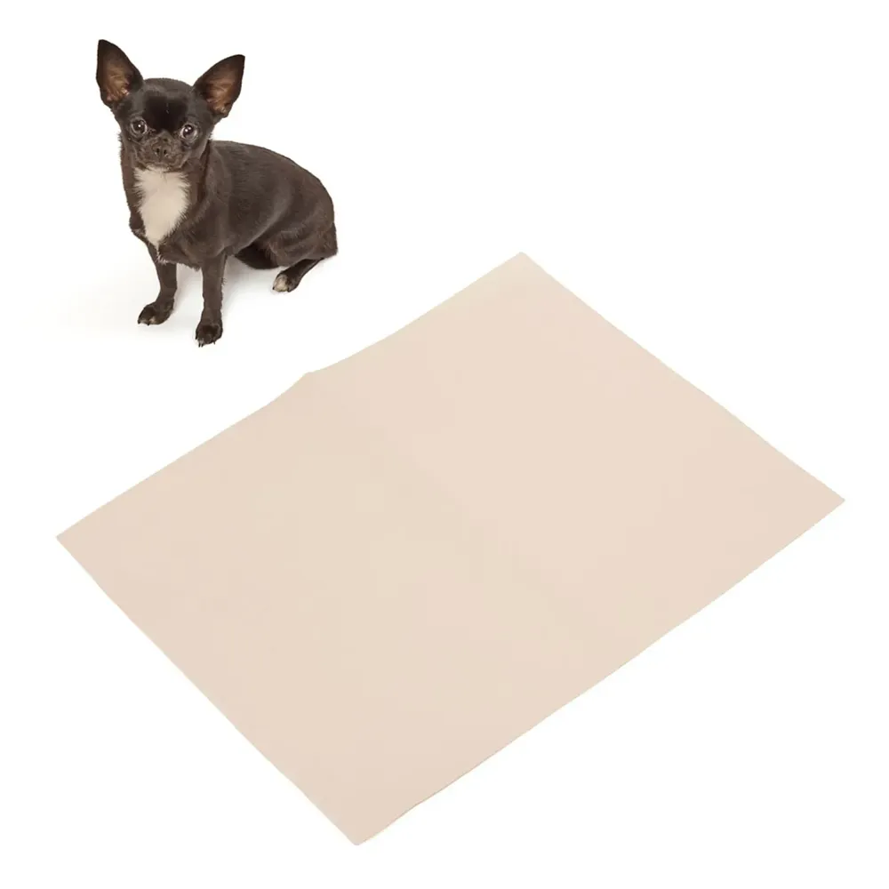 Jornal Liso para Pet Pets Paper — foto 6