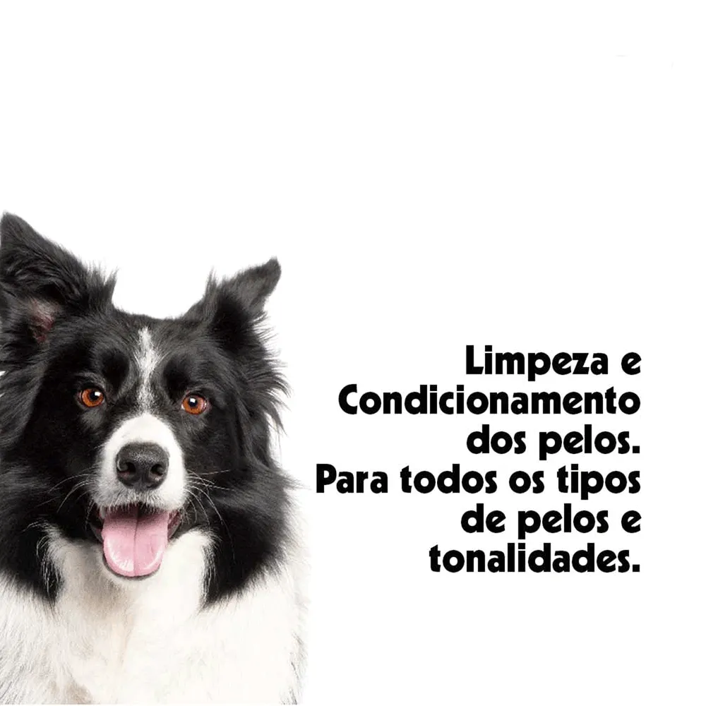 Kit Pop Shampoo, Condicionador e Perfume Pet Clean — foto 5