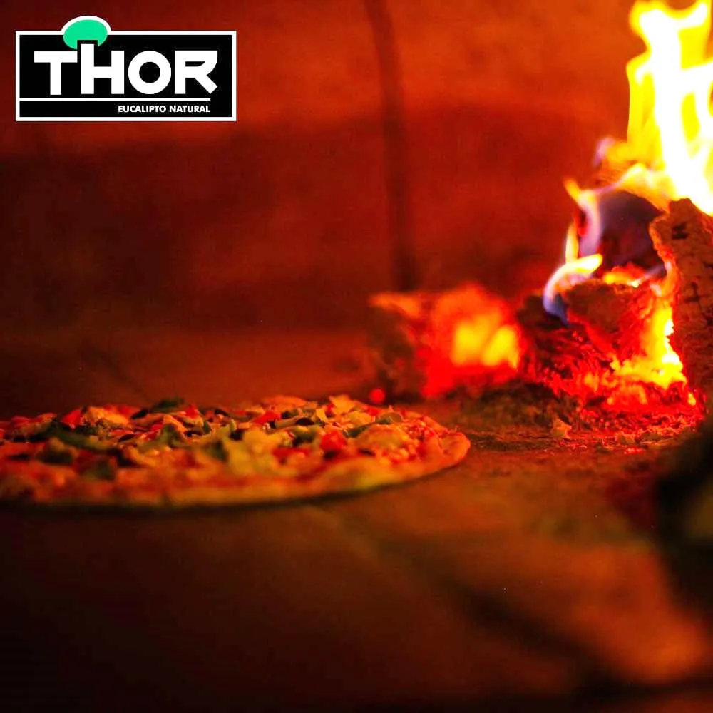 Lenha de Eucalipto Natural Thor — foto 3