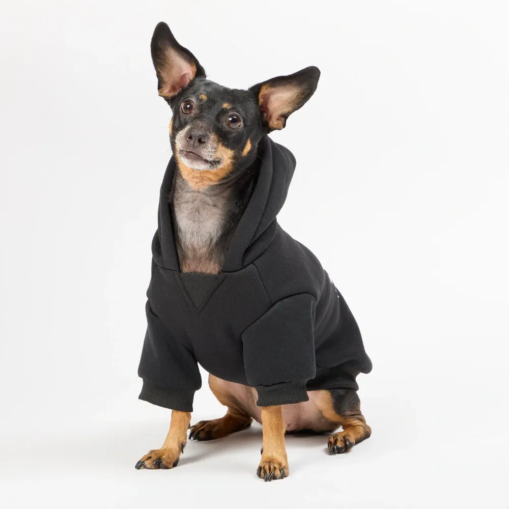Moletom com Capuz para Cães Cool Flicks Preto — foto 6