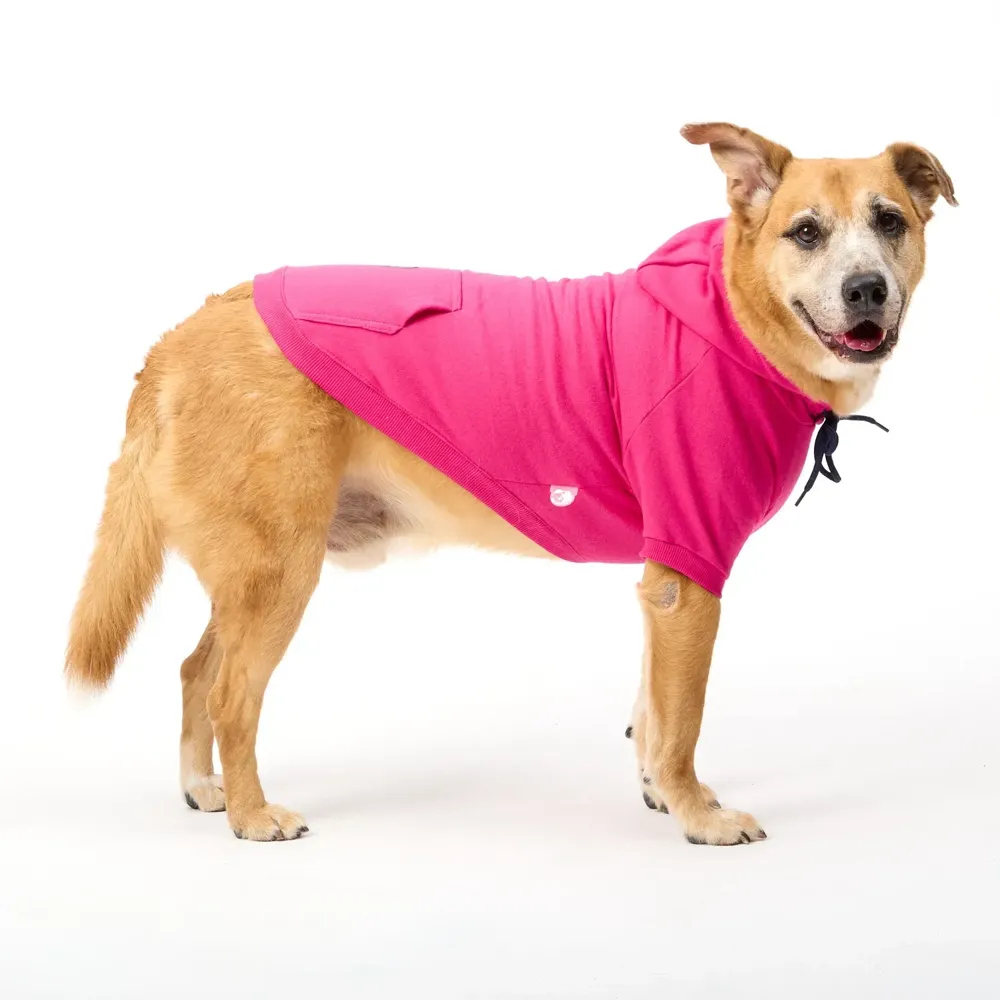 Moletom Partiu Rolê Pink para Cães Emporium Distripet — foto 3