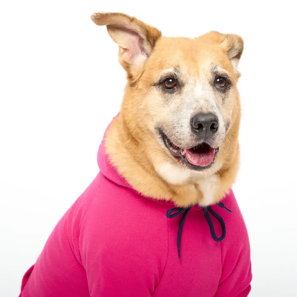 Moletom Partiu Rolê Pink para Cães Emporium Distripet — foto 4