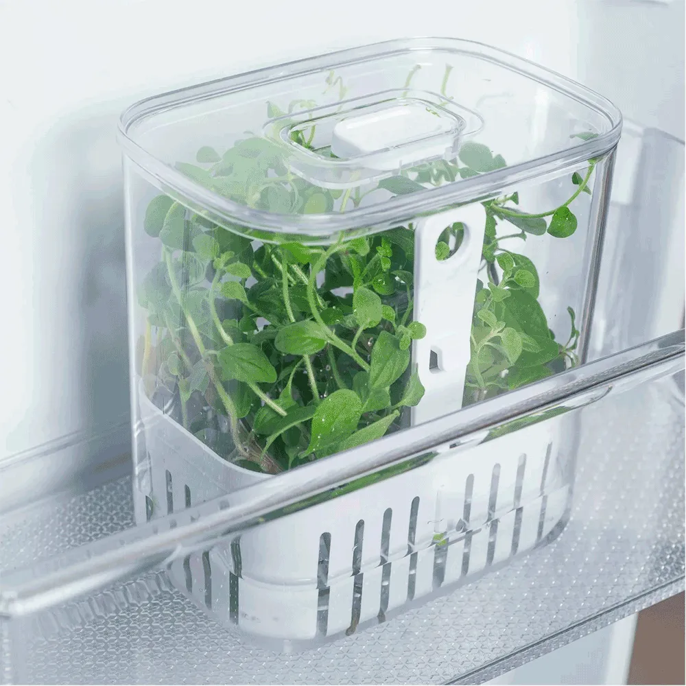 Organizador de Temperos Clear Fresh Transparente Ou — foto 3