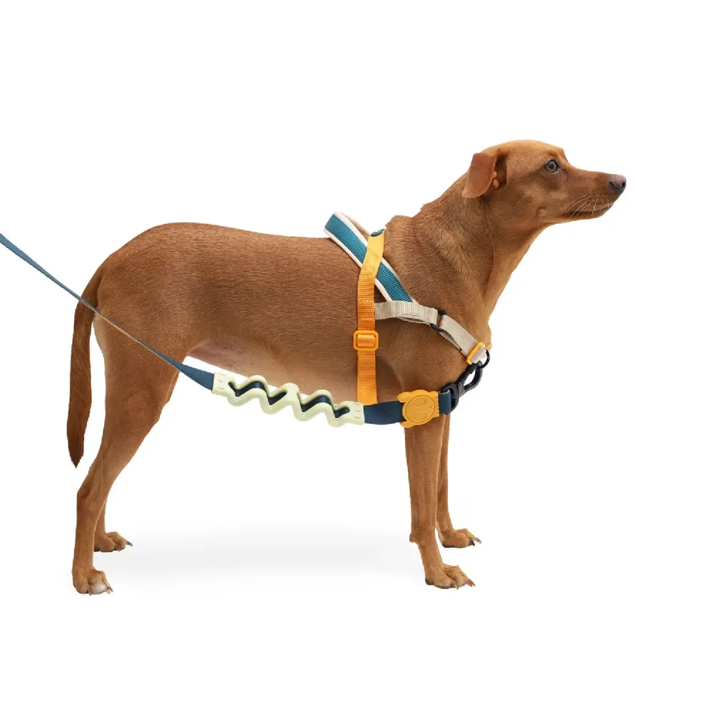 Peitoral Adestramento Cães SofterWalk Voyage Zee.Dog — foto 2