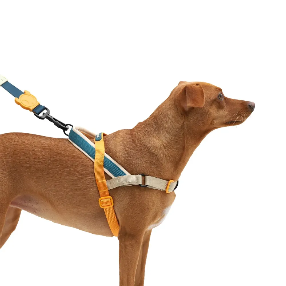 Peitoral Adestramento Cães SofterWalk Voyage Zee.Dog — foto 4