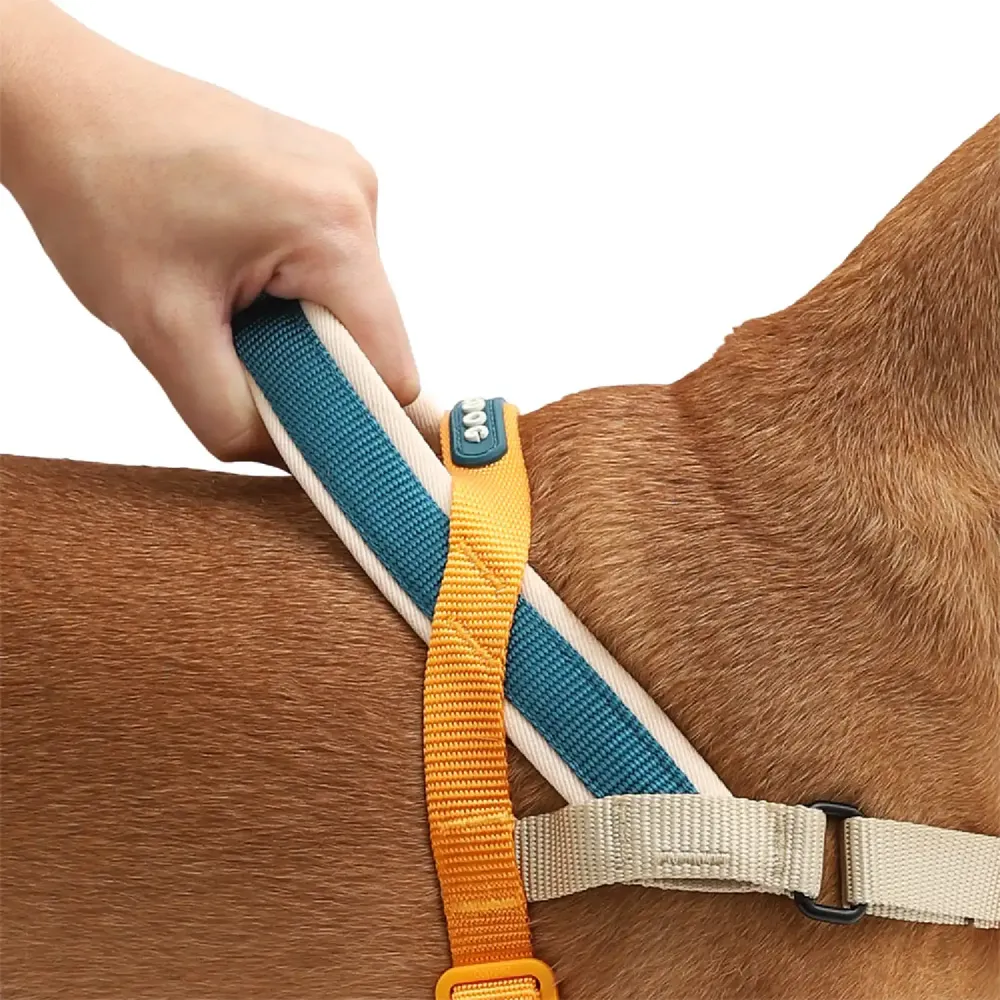 Peitoral Adestramento Cães SofterWalk Voyage Zee.Dog — foto 5
