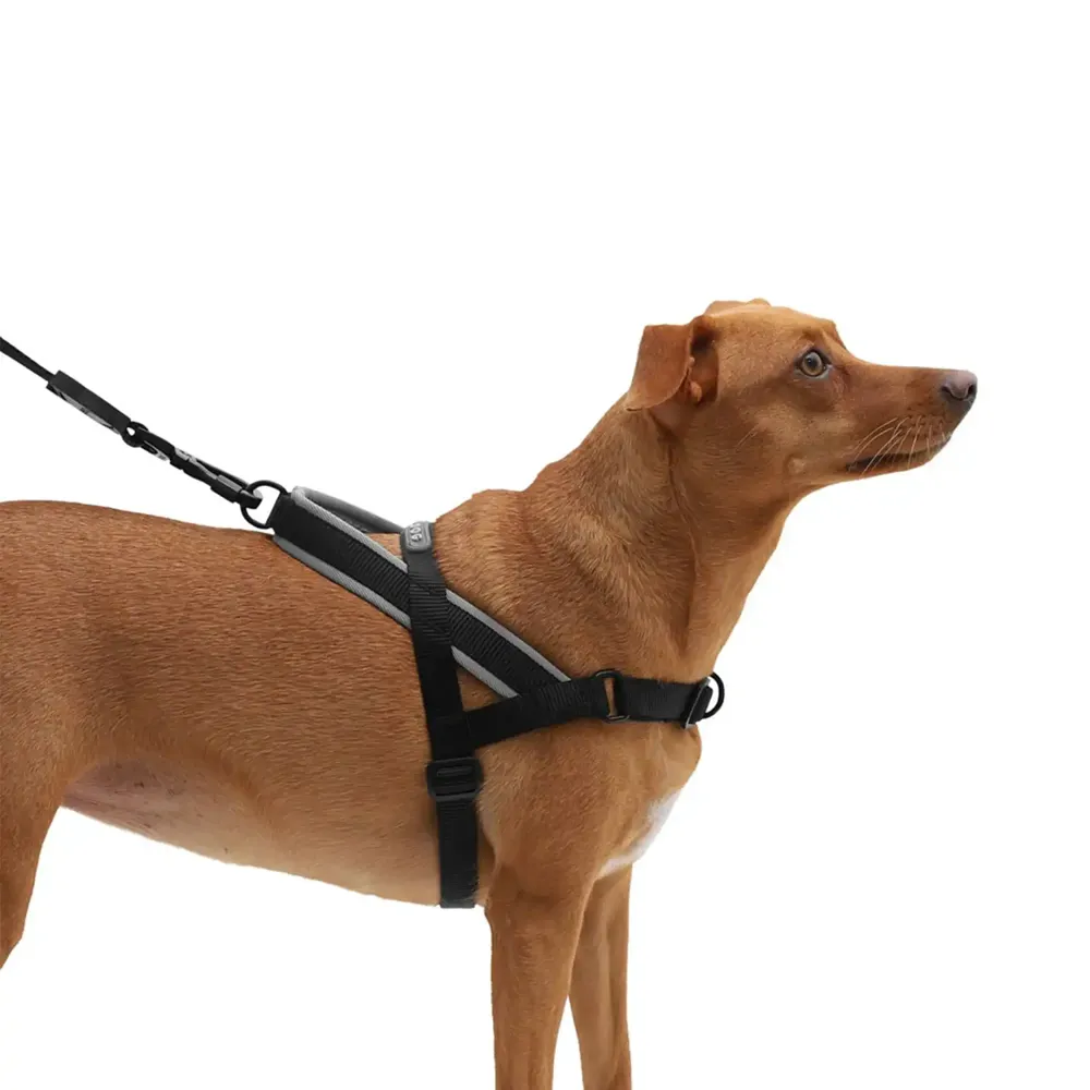 Peitoral Antipuxão para Cães SofterWalk Zee.Dog Gotham — foto 3