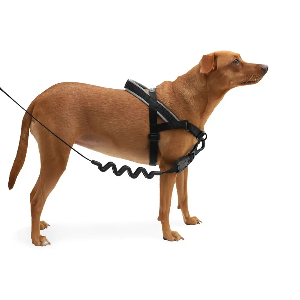 Peitoral Antipuxão para Cães SofterWalk Zee.Dog Gotham — foto 4
