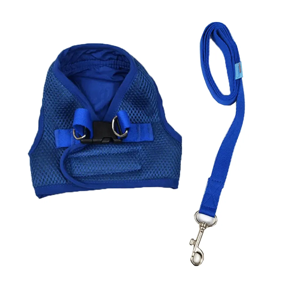 Peitoral com Guia para Cães Emporium Distripet Azul — foto 2