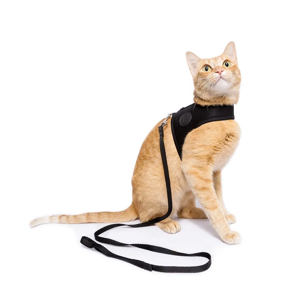 Peitoral e Guia Cat Neoprene Black Tchucoo — foto 3