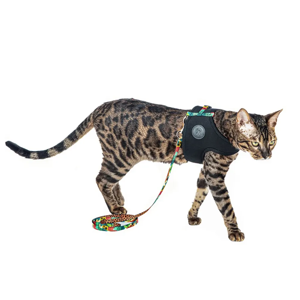 Peitoral e Guia Cat Neoprene Happy Tchucoo — foto 3