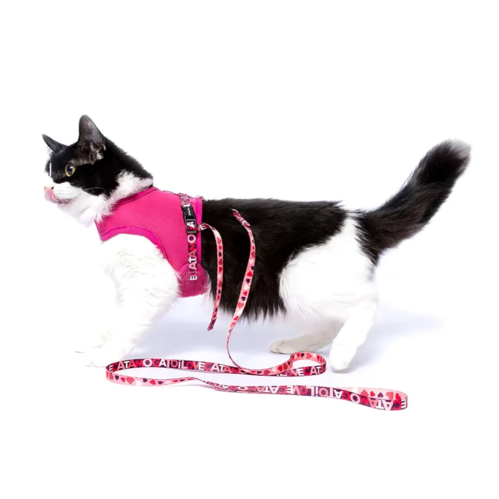 Peitoral e Guia Cat Neoprene Lovers Tchucoo — foto 3