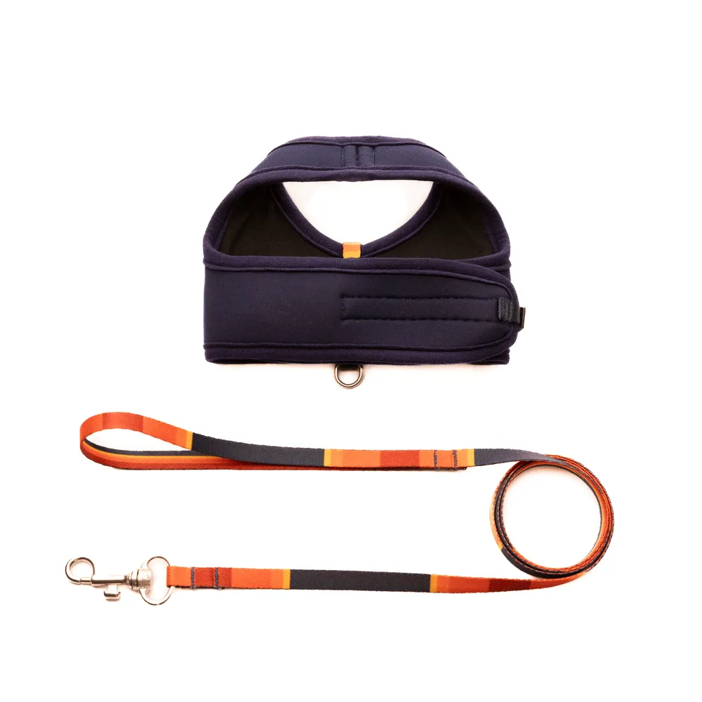 Peitoral e Guia Cat Neoprene Sunny Tchucoo — foto 2