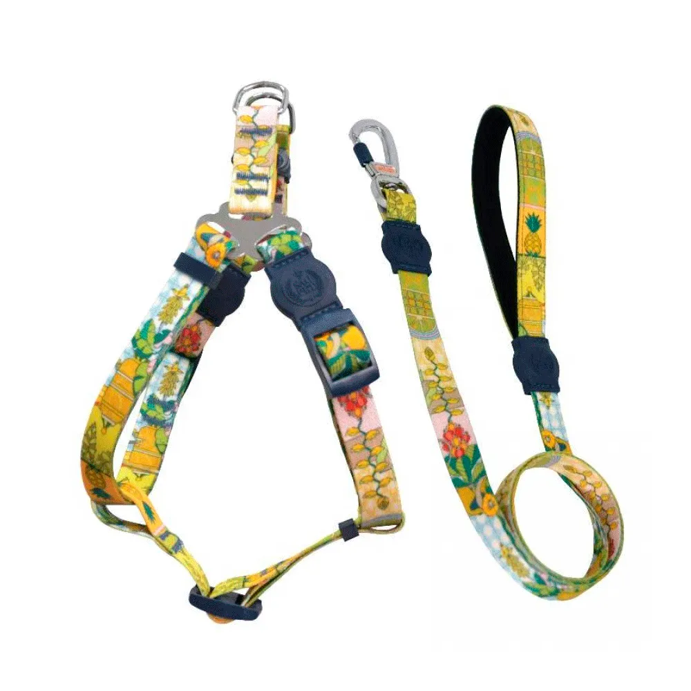 Peitoral e Guia Tropical Abacaxi São Pet Amarelo