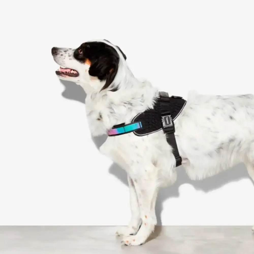 Peitoral FlyHarness para Cães Zee.Dog Gotham — foto 4
