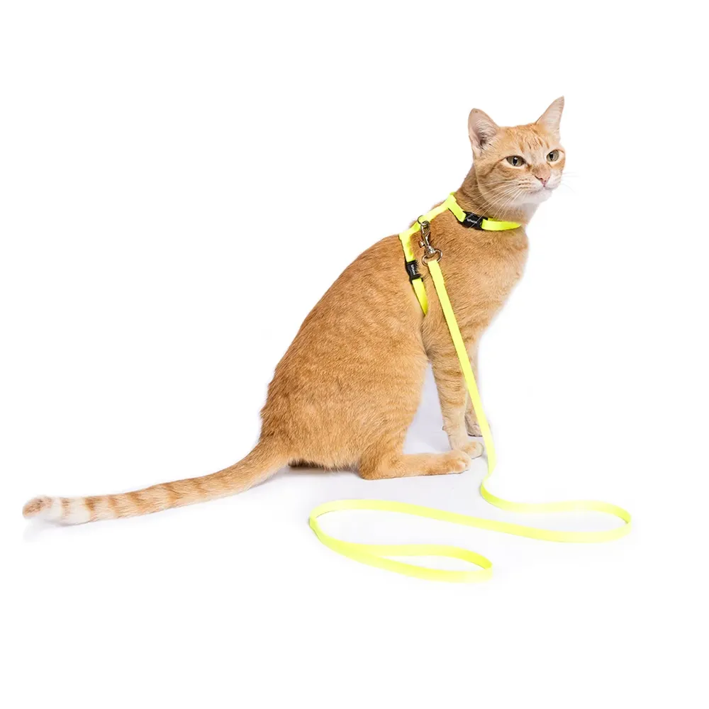 Peitoral H com Guia para Gatos Tchucoo Amarelo — foto 2