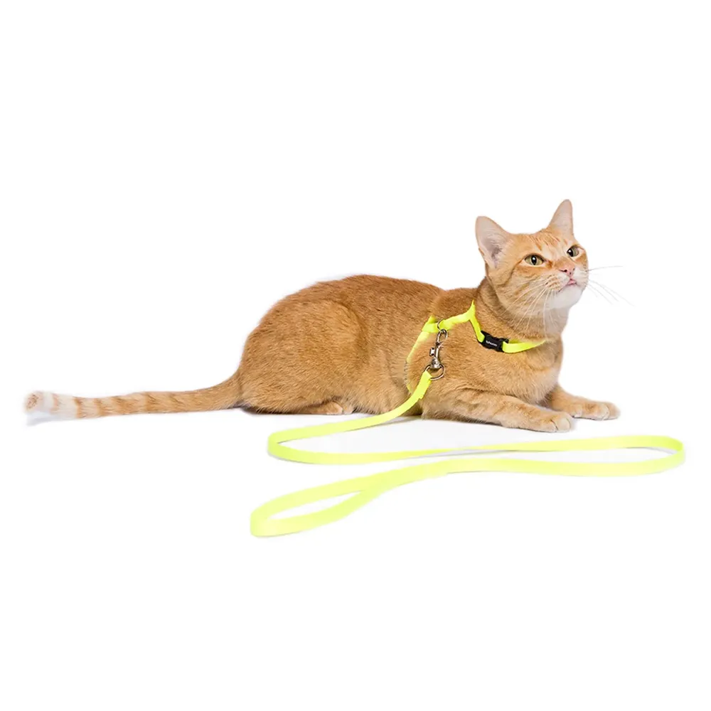 Peitoral H com Guia para Gatos Tchucoo Amarelo — foto 3