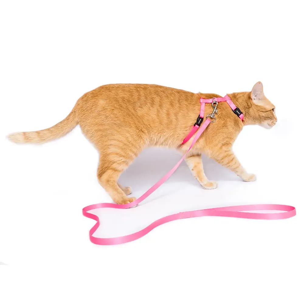 Peitoral H com Guia para Gatos Tchucoo Rosa — foto 3