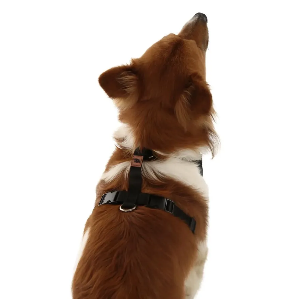 Peitoral H Mesh para Cães Toh Preto — foto 3