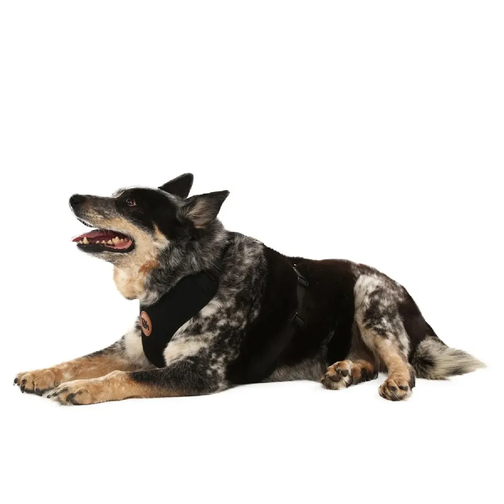 Peitoral H Mesh para Cães Toh Preto — foto 4