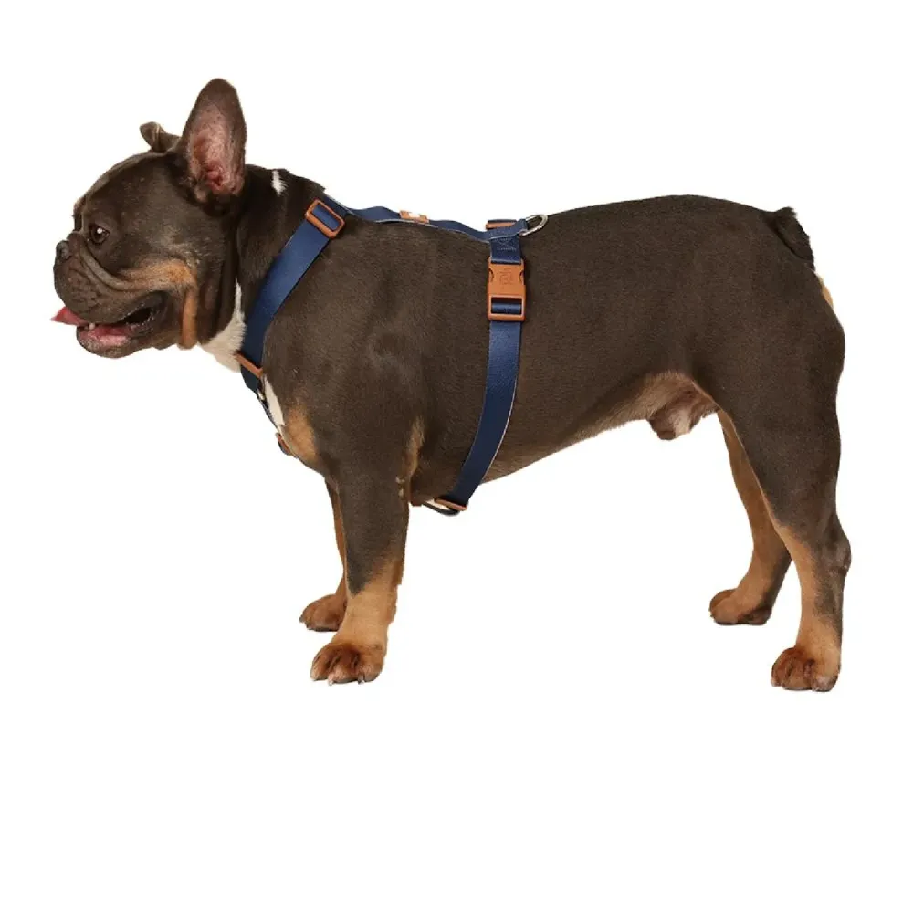 Peitoral H para Cães Basic Toh Azul — foto 3