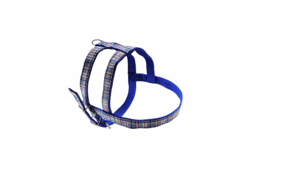 Peitoral Nylon Confort Santa Fé Pet Azul