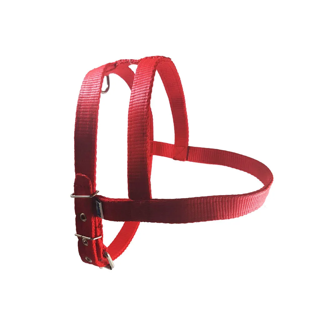 Peitoral Nylon Vermelho Santa Fé Pet — foto 2