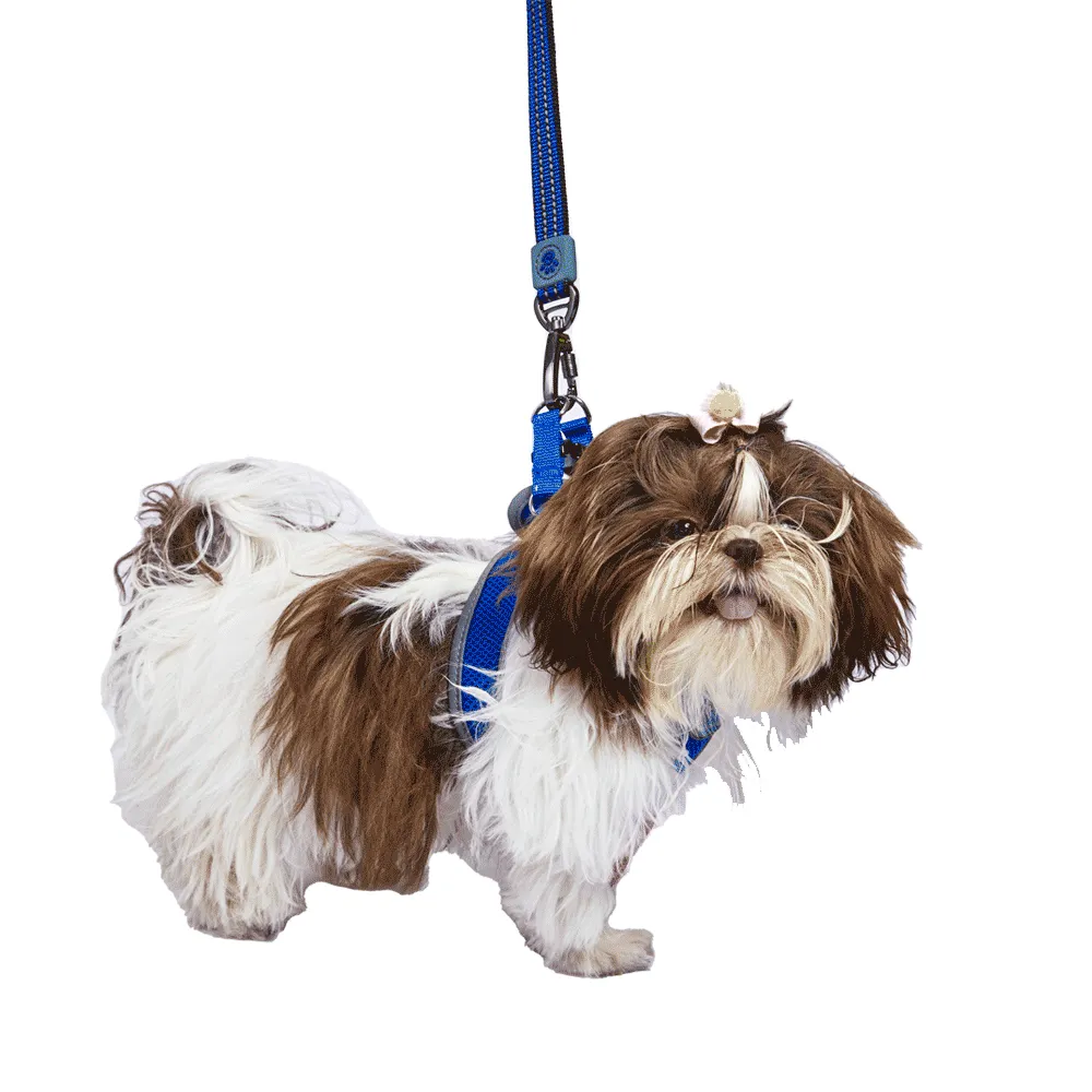 Peitoral Cães Athletic Fit Doco Azul — foto 4