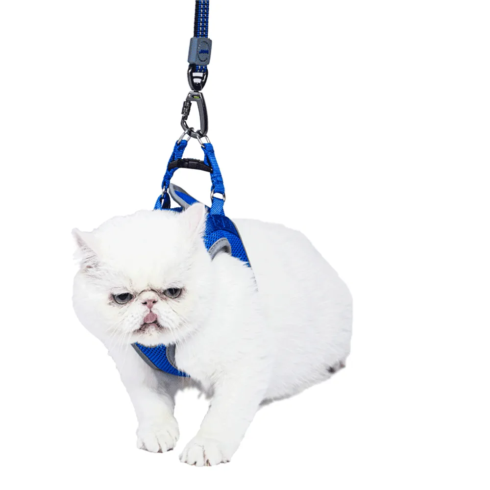 Peitoral Cães Athletic Fit Doco Azul — foto 5