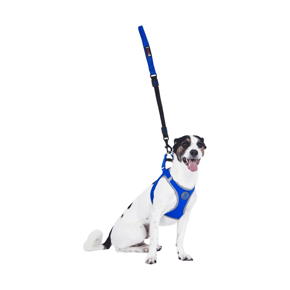 Peitoral Cães Athletic Fit Doco Azul — foto 6