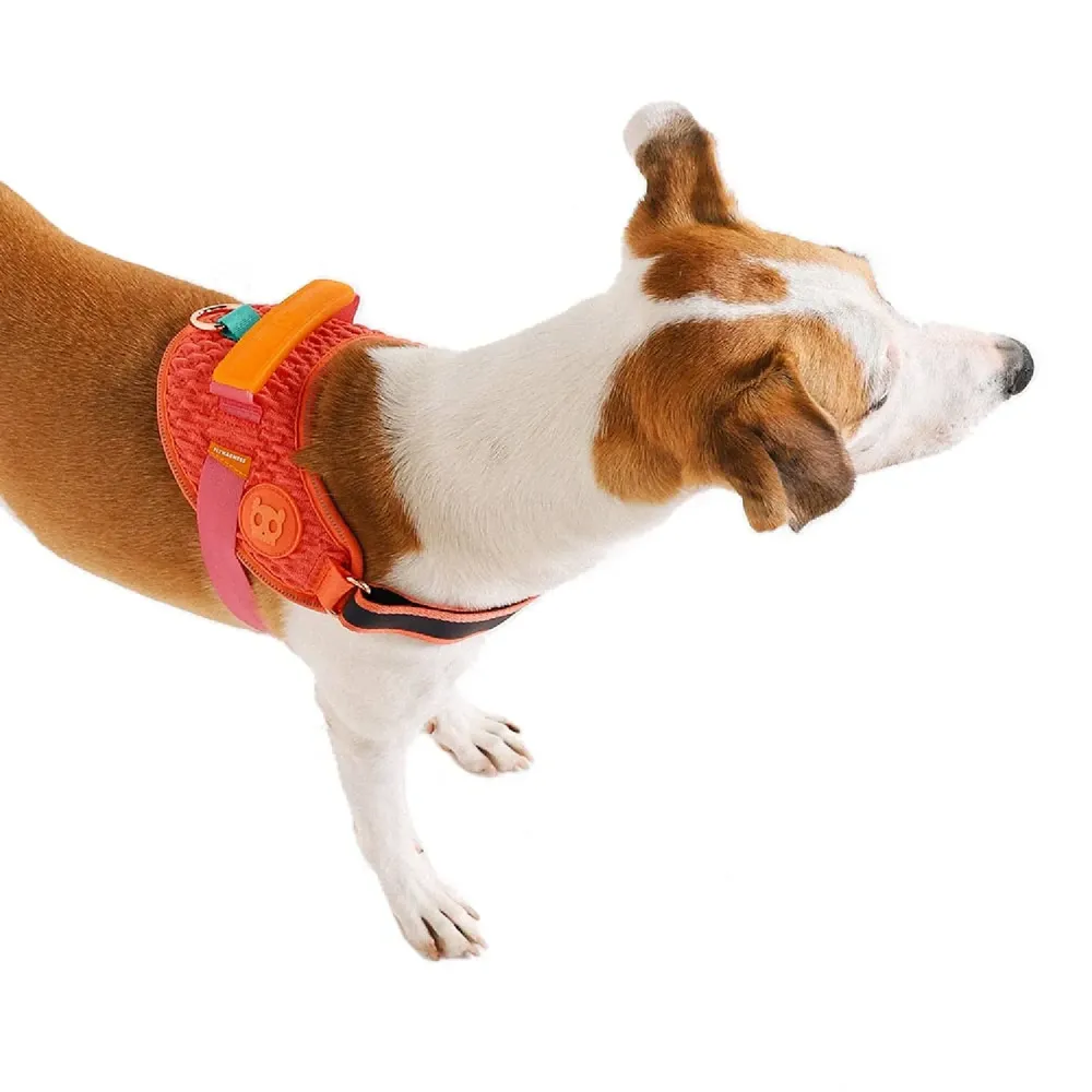 Peitoral para Cães FlyHarness Gazelle Zee.Dog — foto 2
