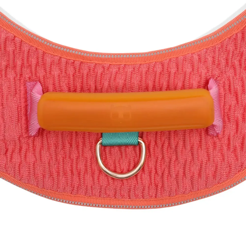 Peitoral para Cães FlyHarness Gazelle Zee.Dog — foto 5