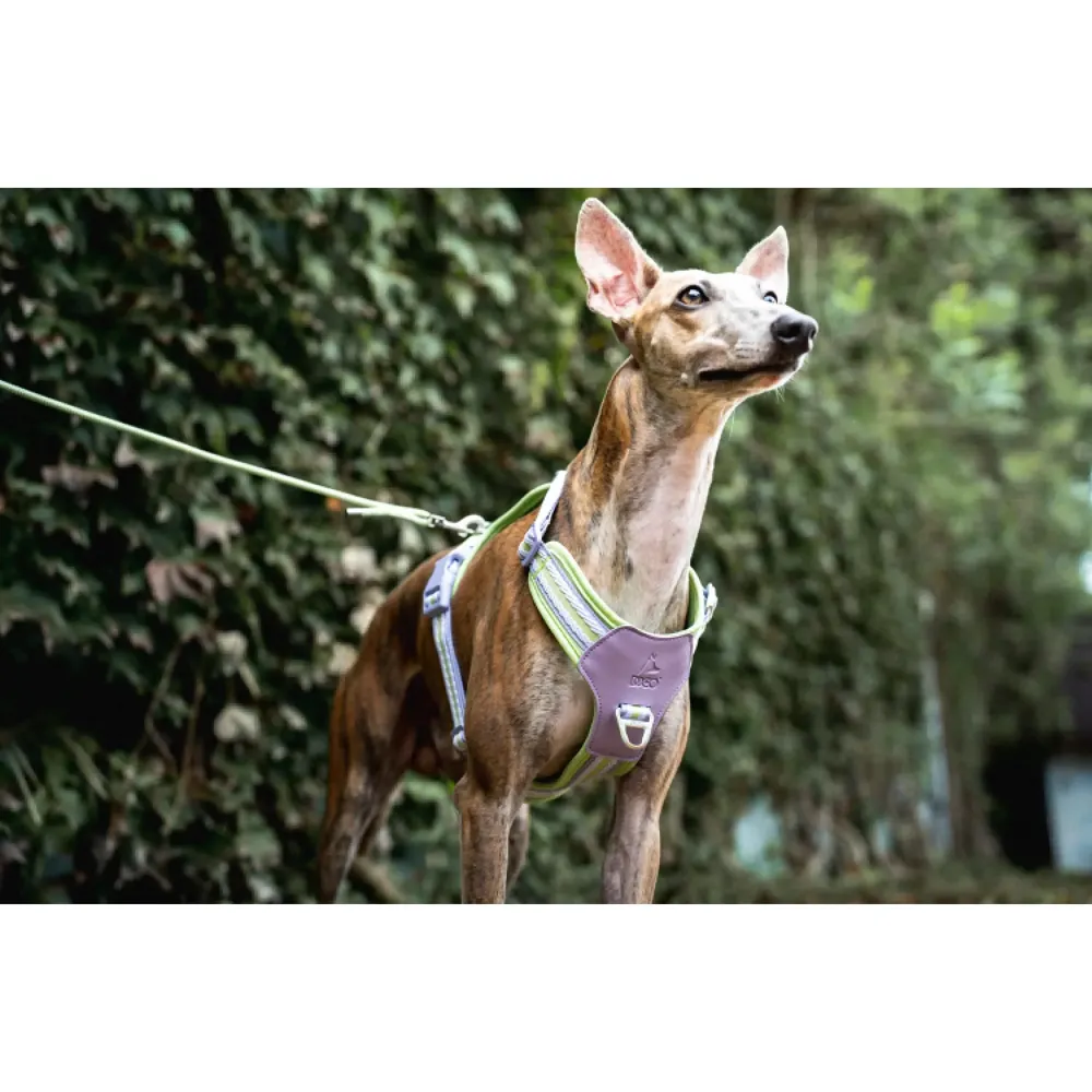 Peitoral para Cães Mesh Jacquard Doco Verde — foto 6