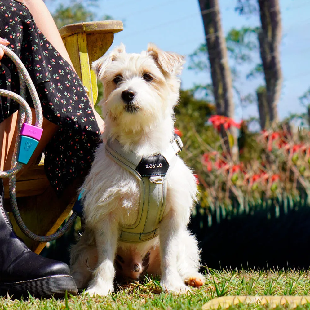 Peitoral para Cães Ozy.Vest Zaylo Cinza — foto 6