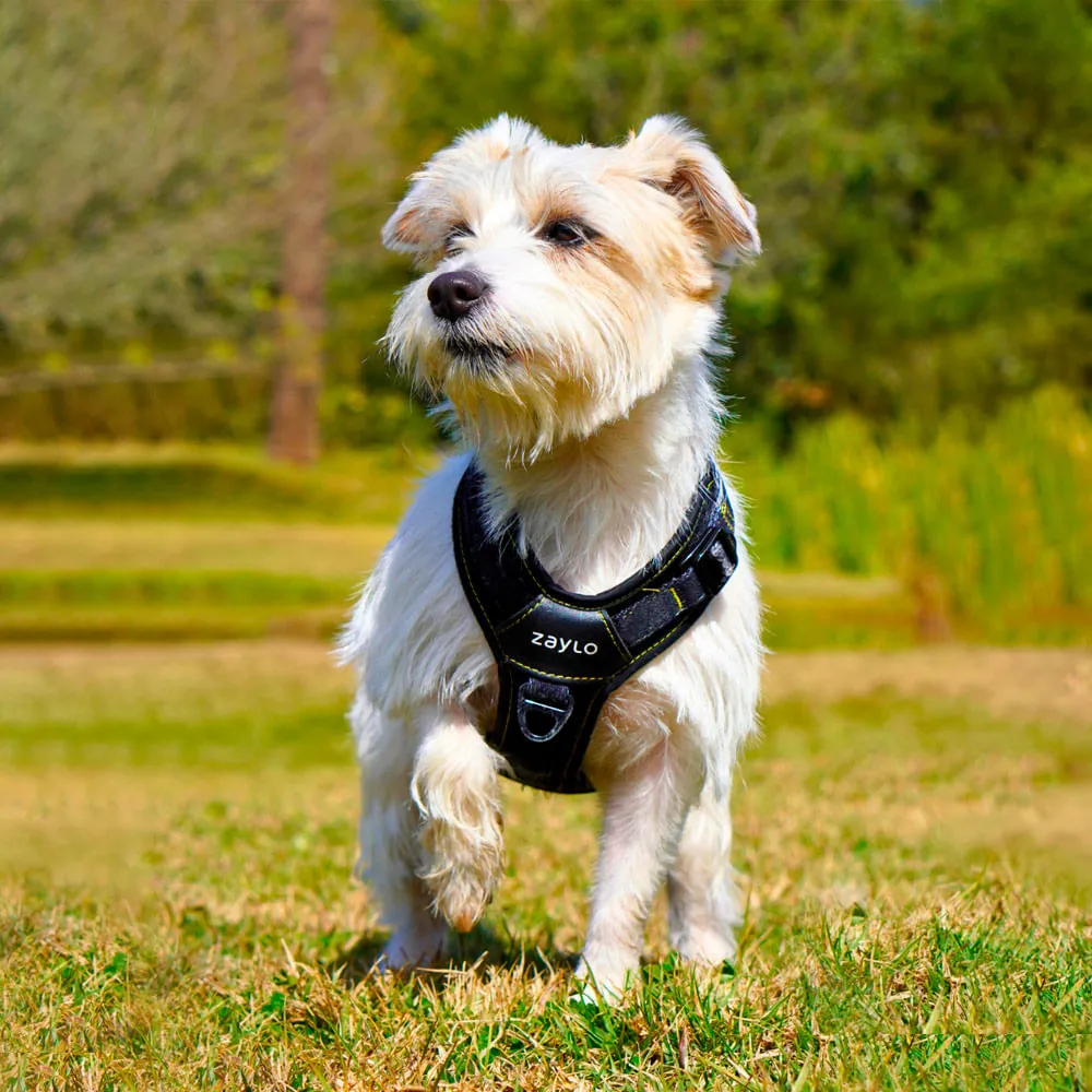 Peitoral para Cães Ozy.Vest Zaylo Preto — foto 5