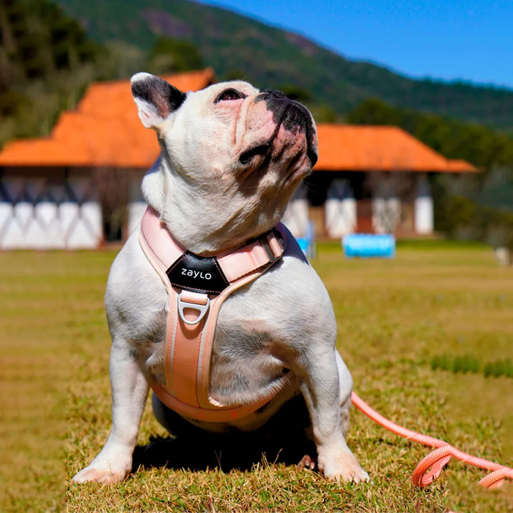 Peitoral para Cães Ozy.Vest Zaylo Rosa — foto 5