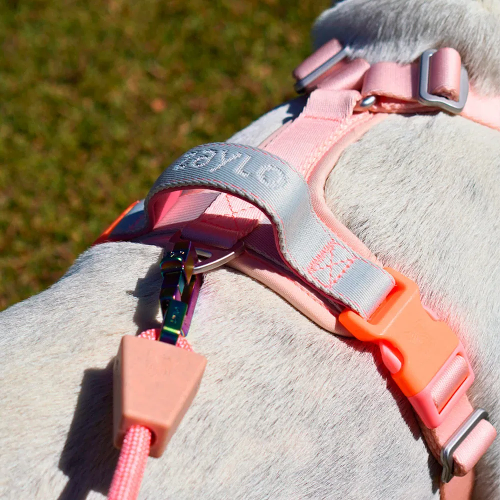 Peitoral para Cães Ozy.Vest Zaylo Rosa — foto 6