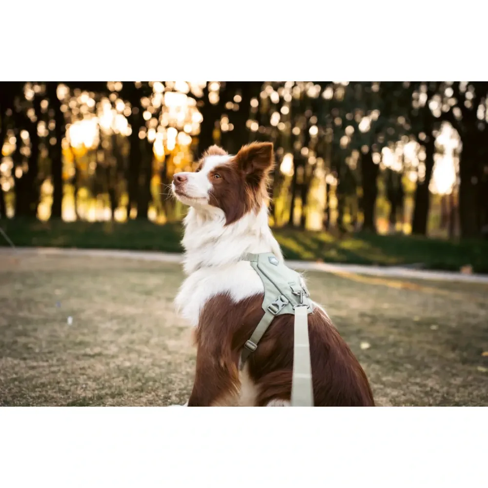 Peitoral para Cães Vertex Harness Doco Verde — foto 3