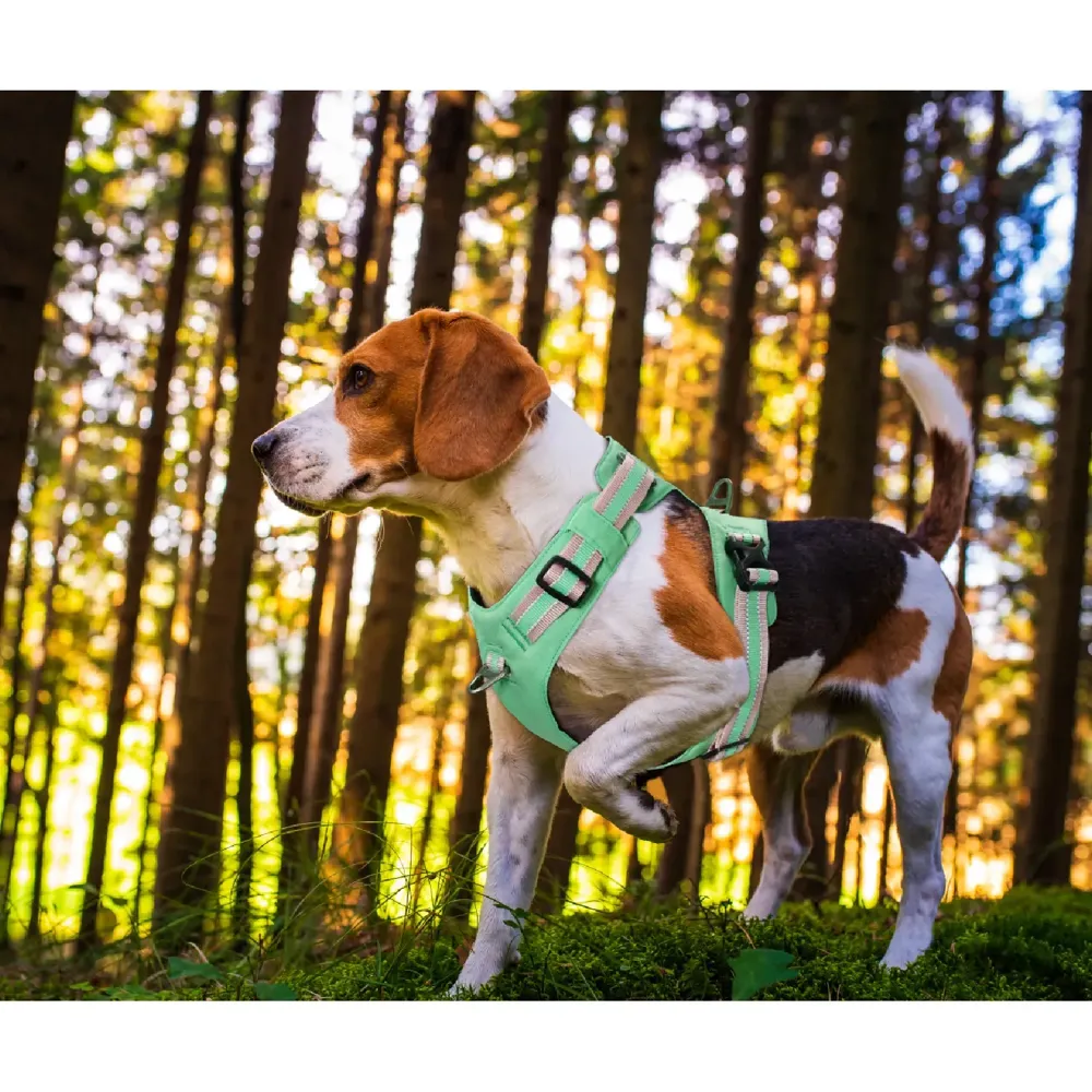 Peitoral para Cães Vertex Ultra Light Doco Azul — foto 6