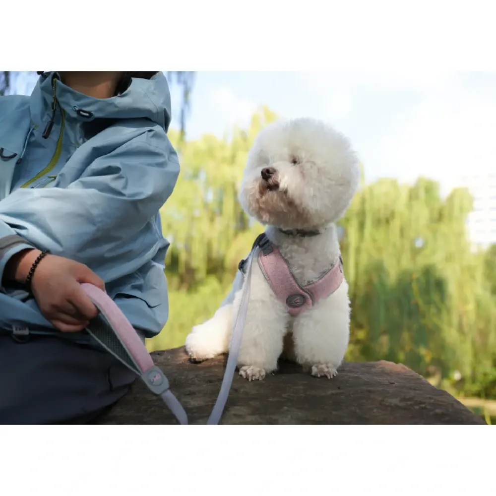 Peitoral X para Cães Doco Cinza — foto 6