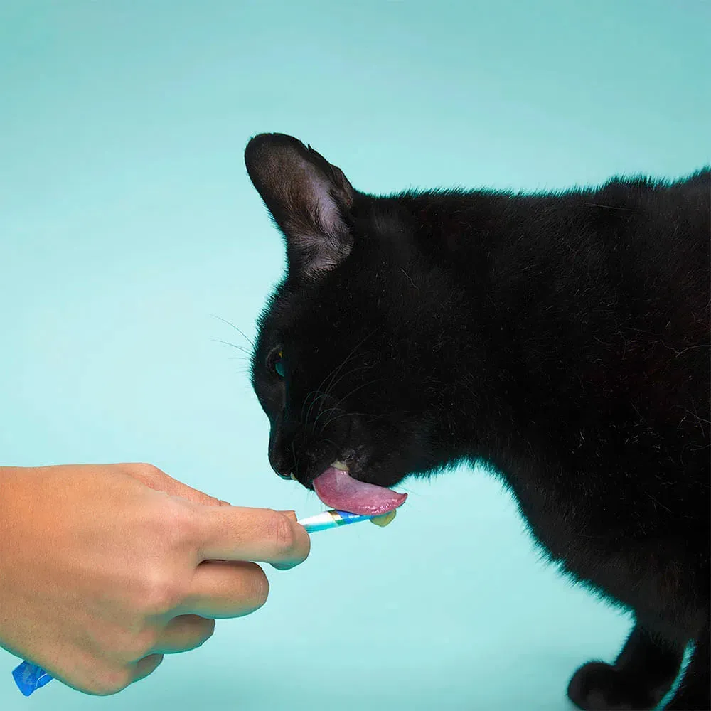 Petisco Churu Galinha e Queijo para Gatos — foto 3