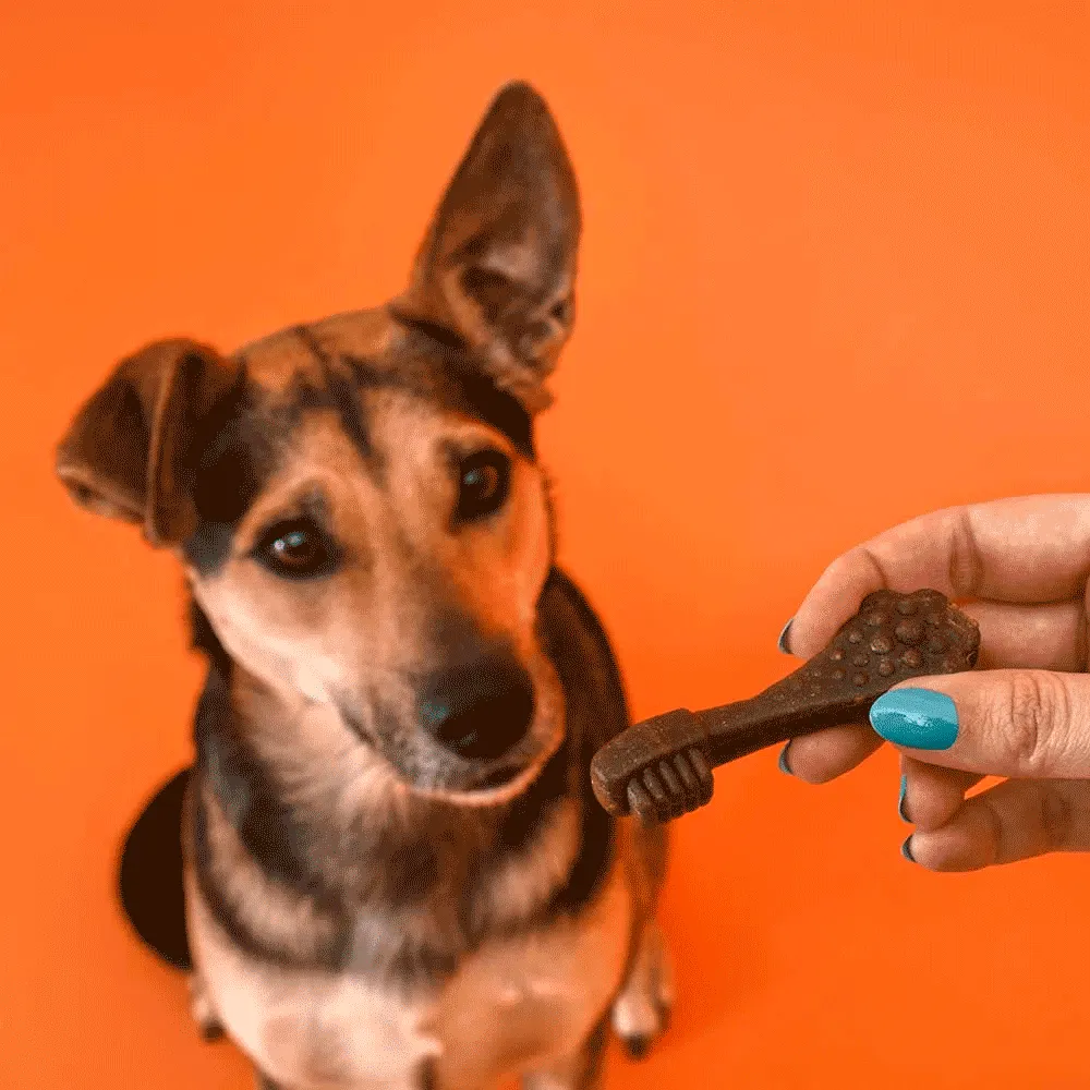 Petisco Dogfy Dental para Cães de Médio Porte — foto 6