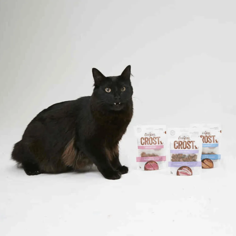 Petisco Gatos Origem Natural Crost Filezinho de Salmão — foto 5