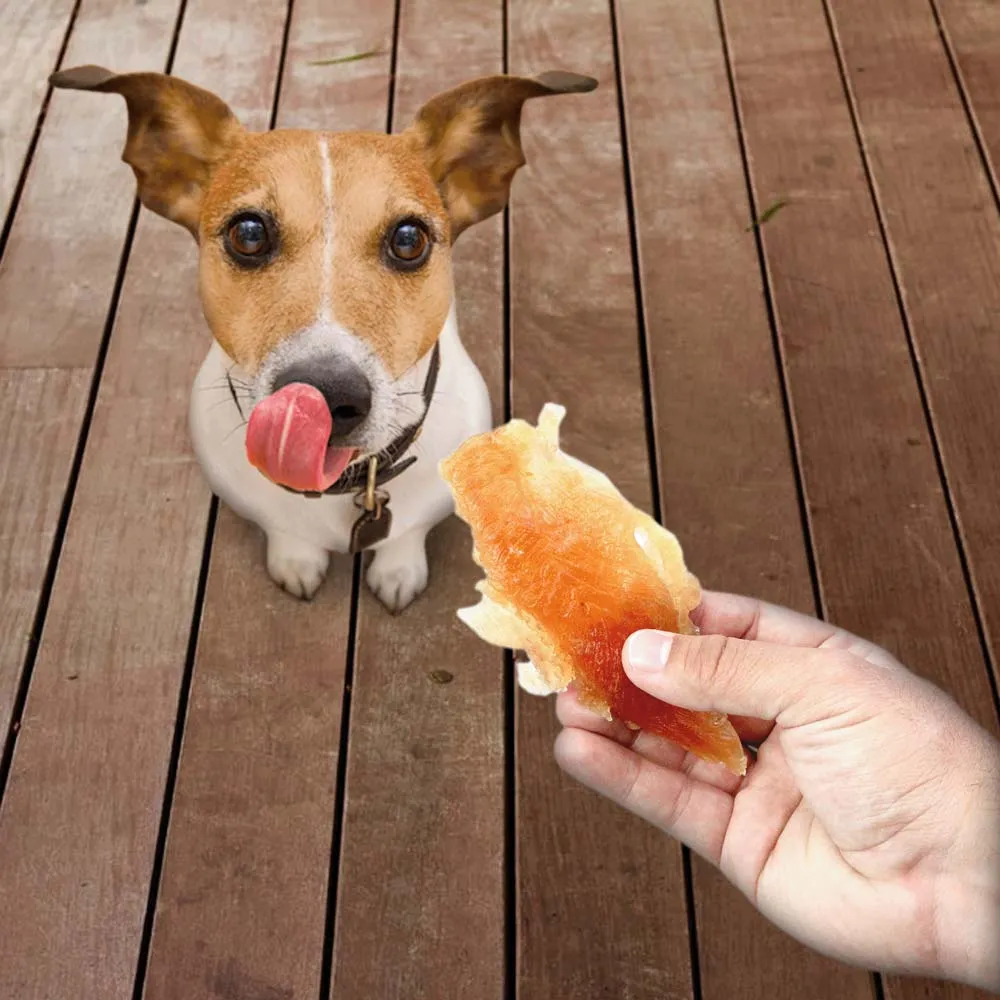 Petisco Just Steak de Frango para Cães e Gatos — foto 5