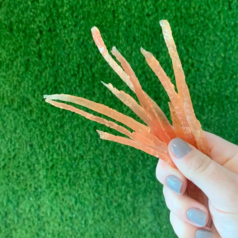 Petisco Just Tiras de Frango para Cães e Gatos — foto 4