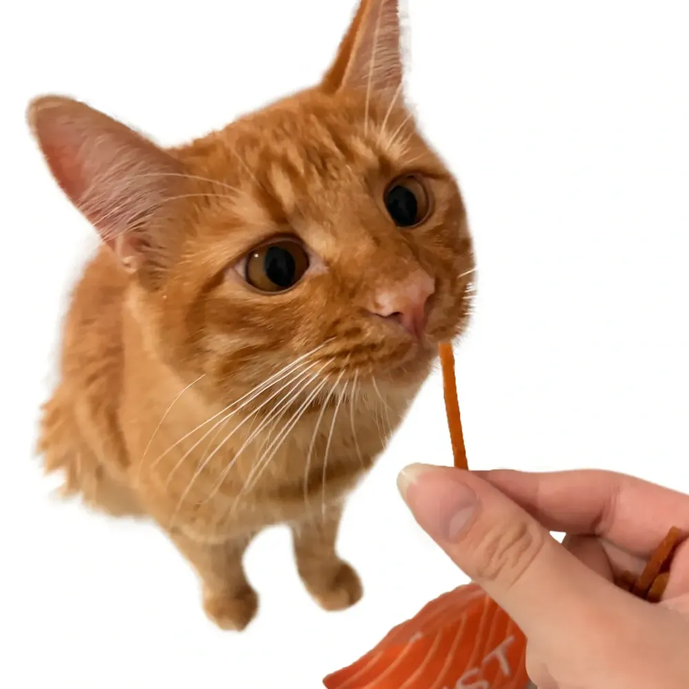 Petisco Just Tiras de Salmão para Gatos — foto 3