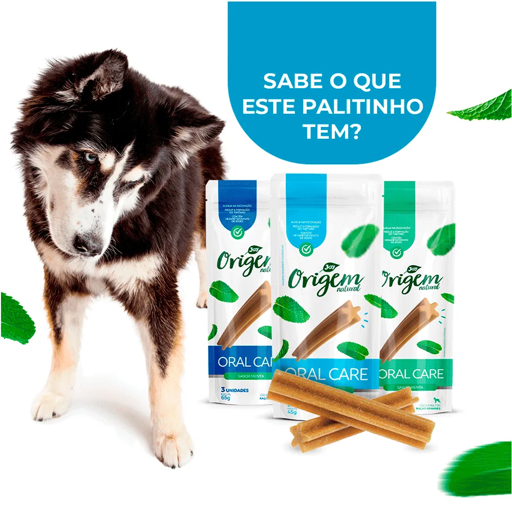 Petisco Stick Oral Care Menta Cães Raças Grandes Origem Natural — foto 6