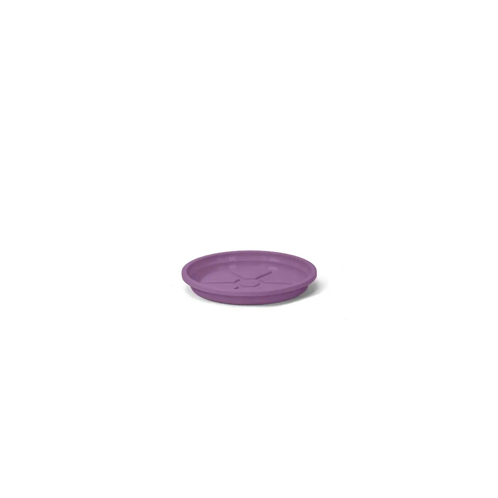 Prato Redondo Aquarela Nutriplan Roxo Amora